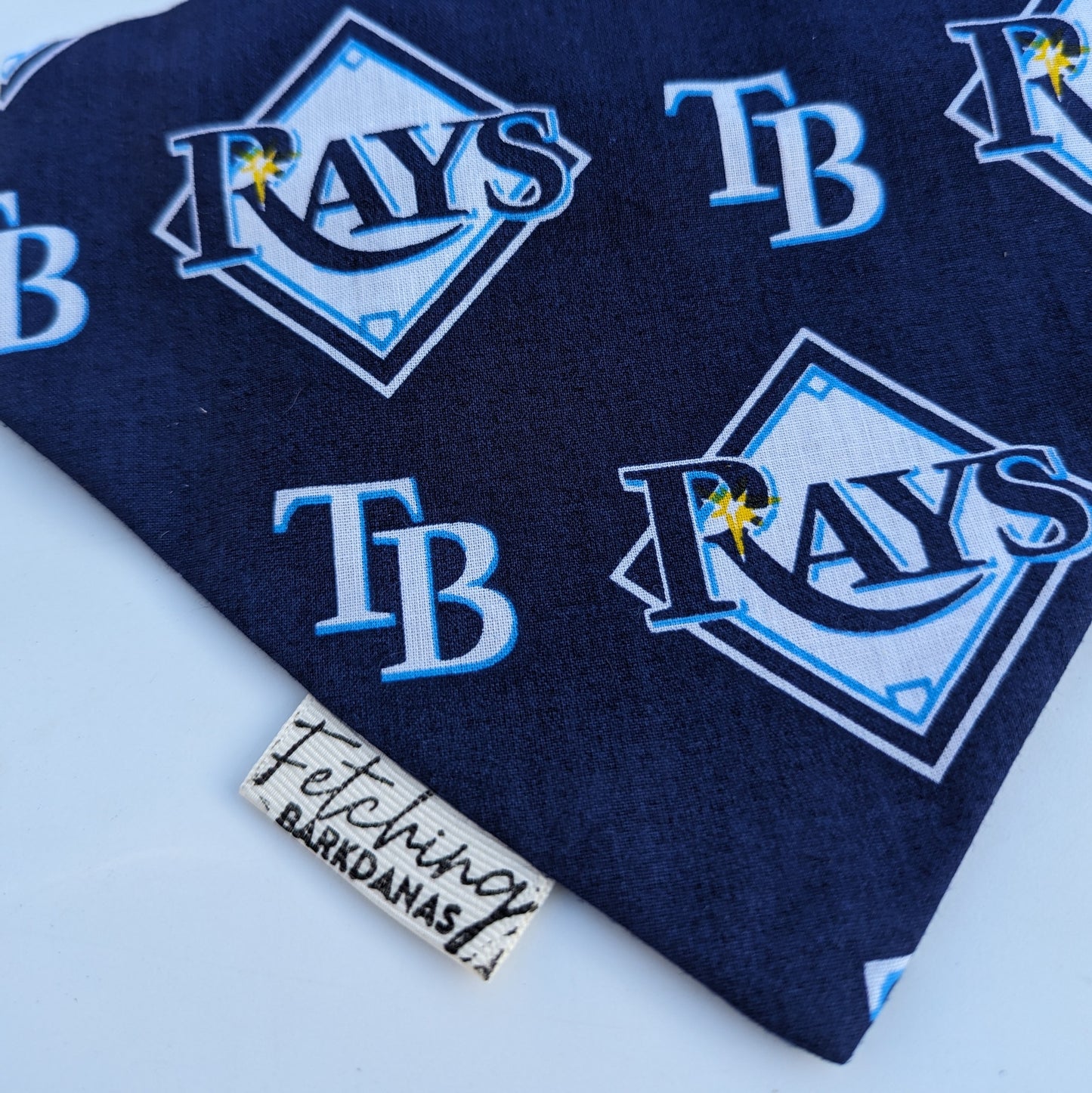 Tampa Bay Rays