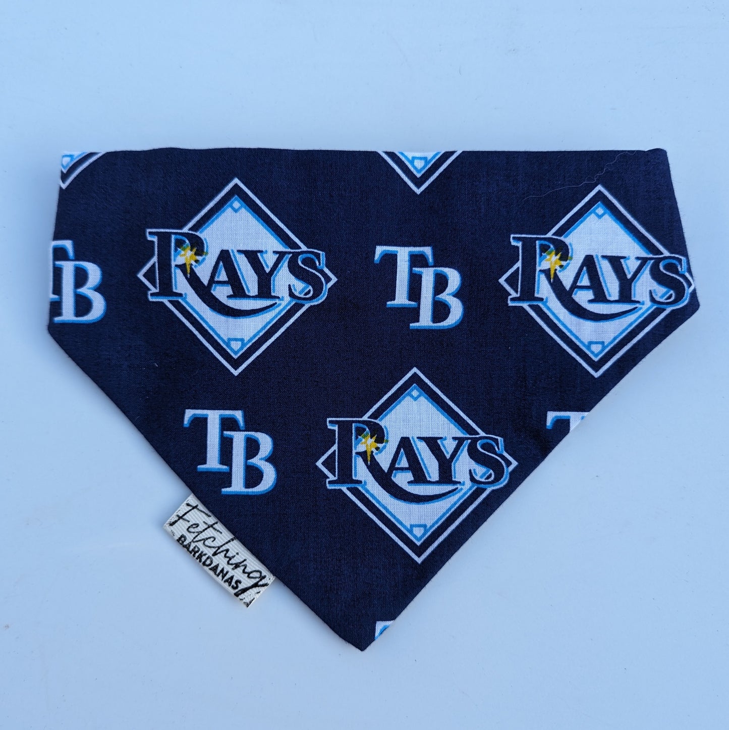 Tampa Bay Rays