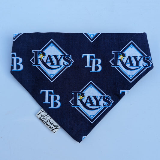 Tampa Bay Rays