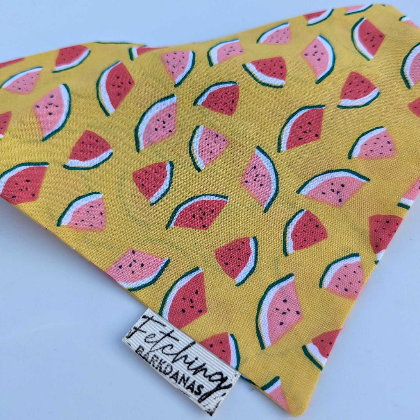 Watermelon - Bandana