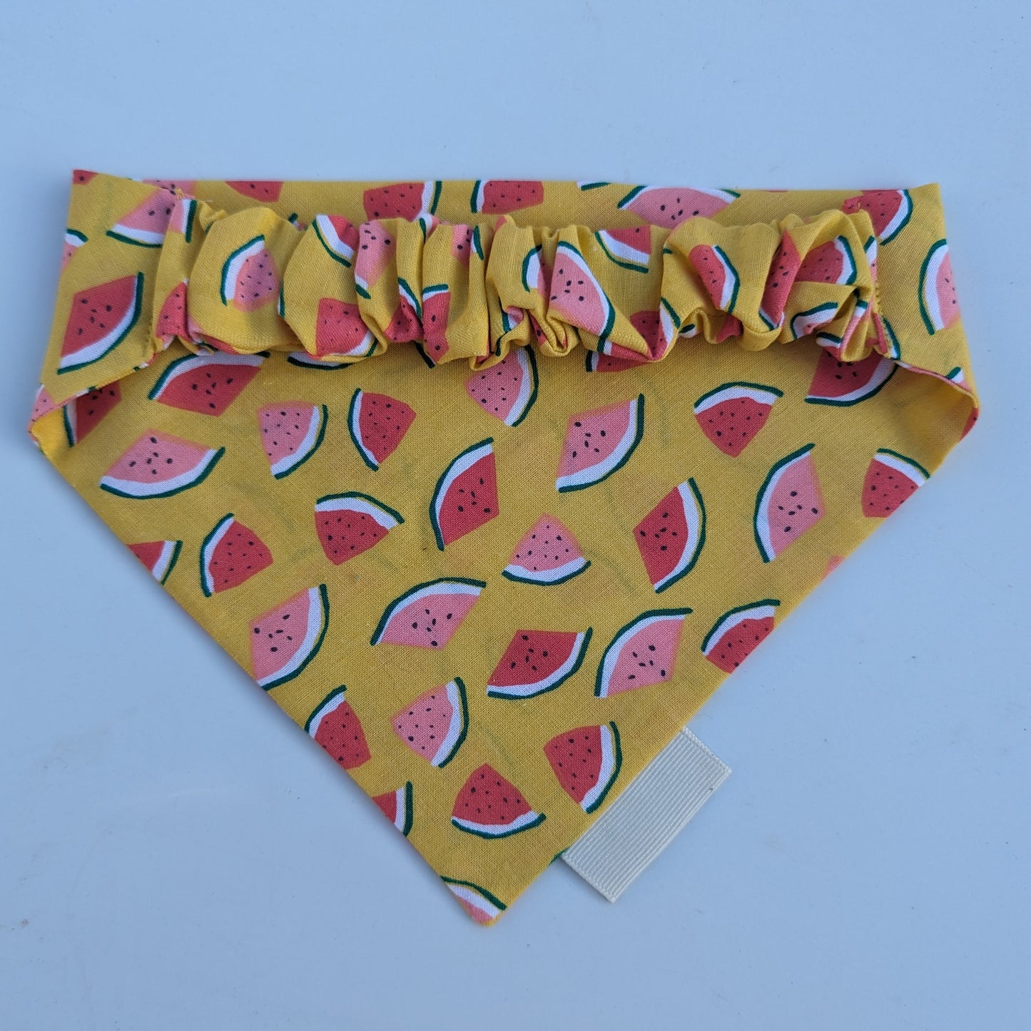 Watermelon - Bandana