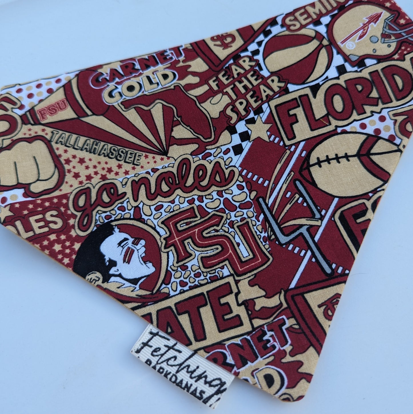 Florida State University Football